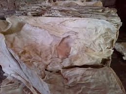 PURE COW HIDES _ dry and wet salted_